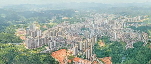 竹海环绕广宁县城。